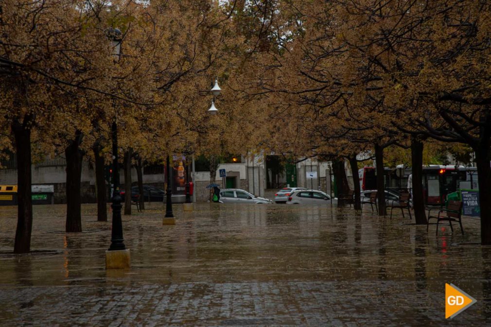 FOTOS LLUVIA GRANADA (2) otoño granada