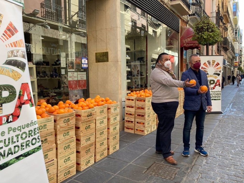 Granada.- Agricultores reparten cajas de naranjas entre 200 comercios para denunciar los bajos precios en origen