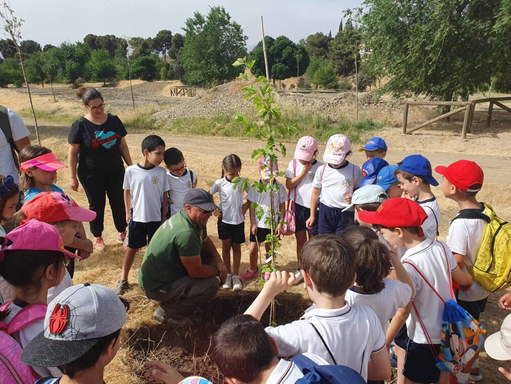 plantacion arboles guadix