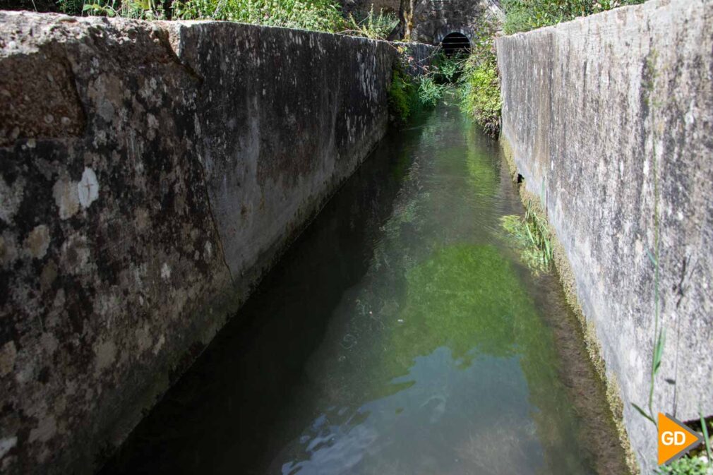 ACEQUIA REAL DE LA ALHAMBRA - Dani B