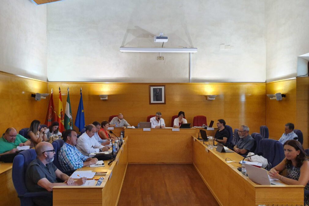 pleno ordinario ayuntamiento de Guadix