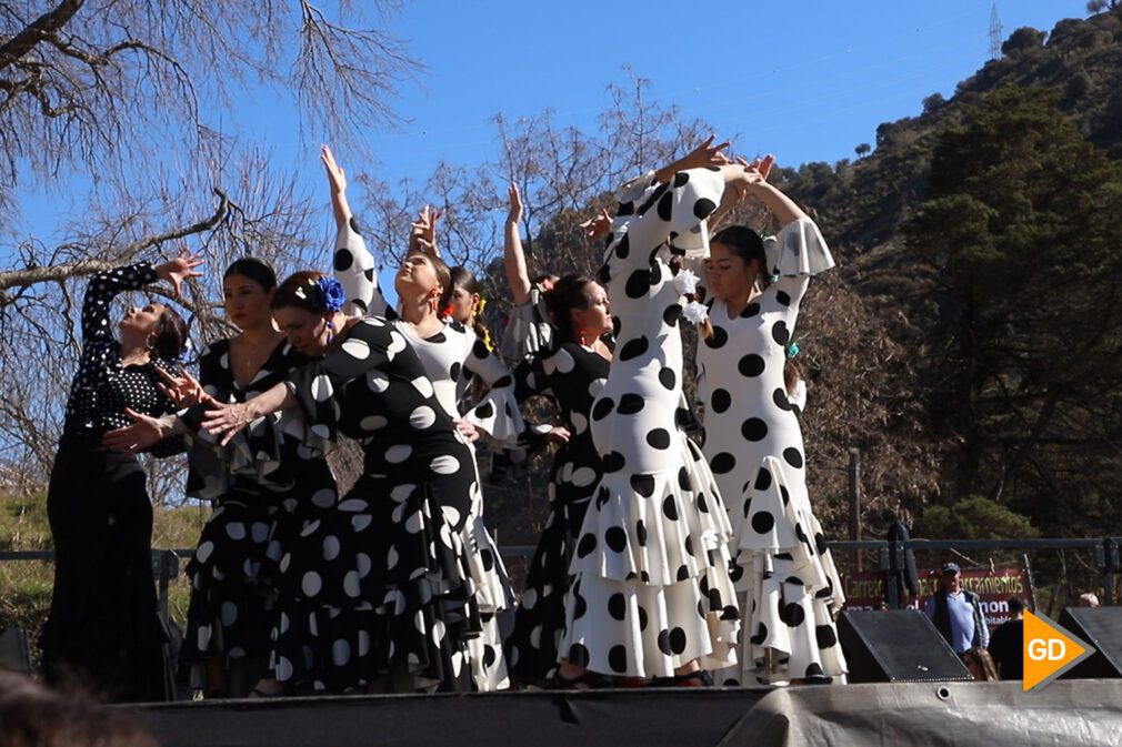 Granada recupera toda la esencia de la romería de San Cecilio | Foto: Celia Pérez