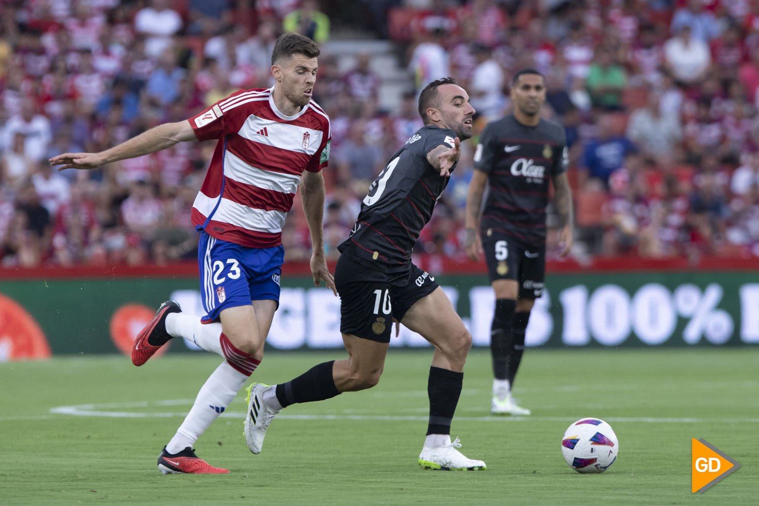 Partidos de granada club de fútbol contra r.c.d. mallorca