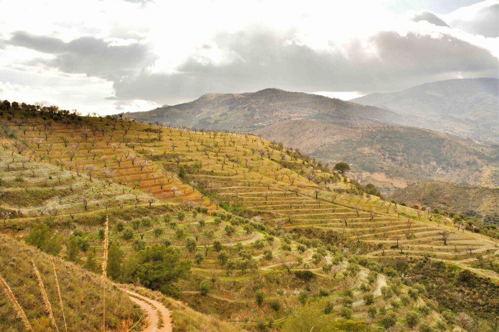 Alpujarra experimental site