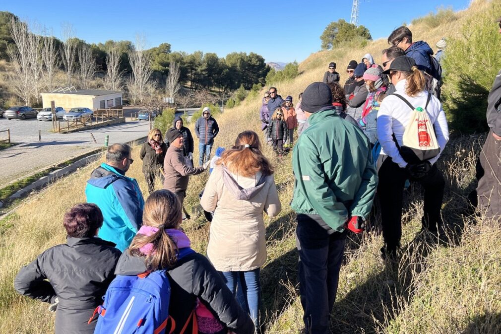 Imagen de la reforestación realizada el pasado año por trabajadores de la entidad en Las Canteras.