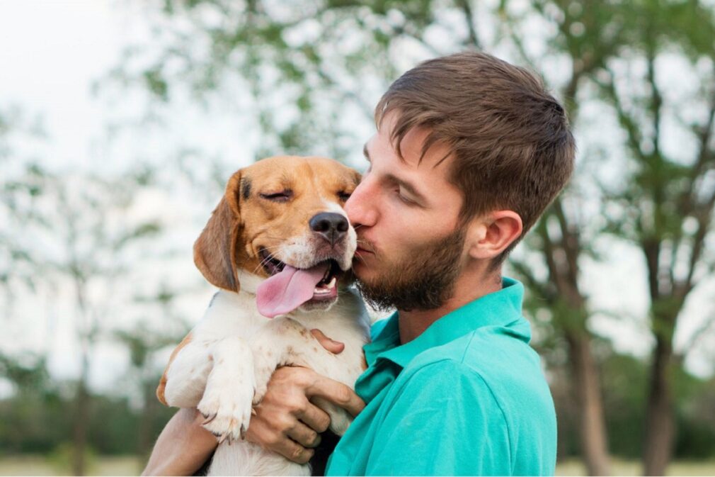 terapia perros universitarios - Remitida UGR 2