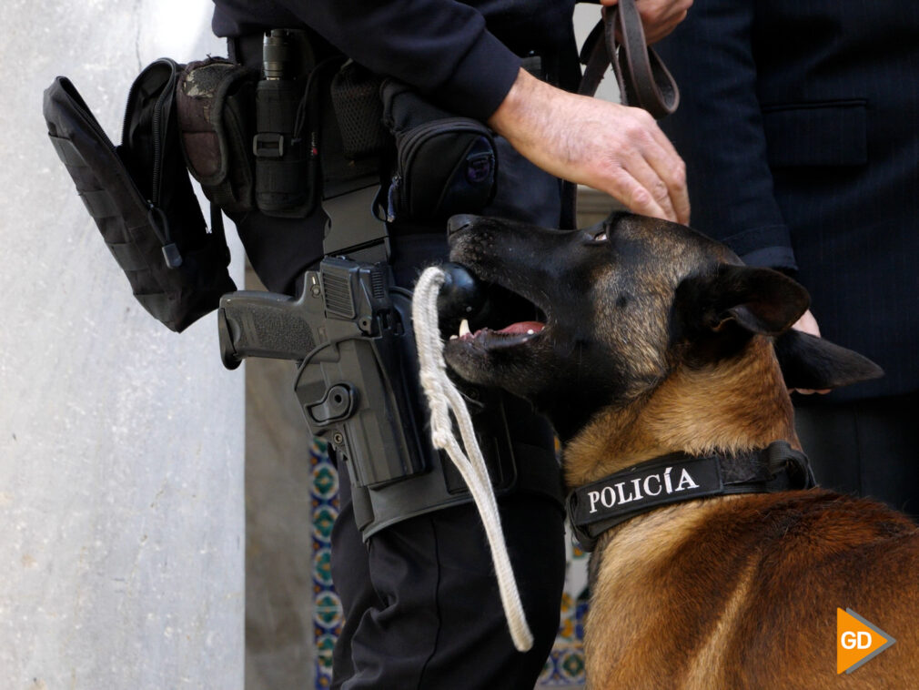 Unidad canina Policia Local