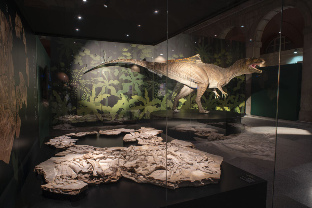 Cazadores de dragones_Exposición temporal que llegará al Parque de las Ciencias en 2025_01