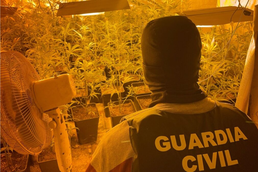 Guardia Civil Desarticula Marihuana (2)