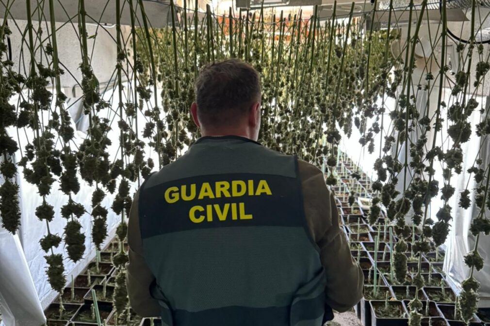 Marihuana Guardia Civil