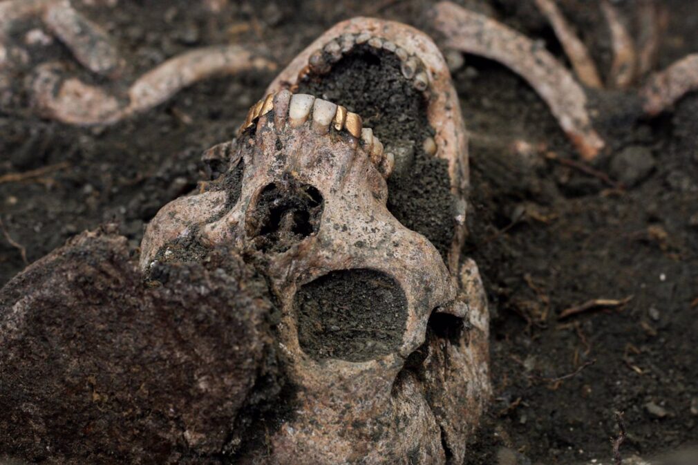 Granada.- Memoria.- Roban un maxilar con dientes de oro de una de las víctimas exhumadas en el barranco de Víznar