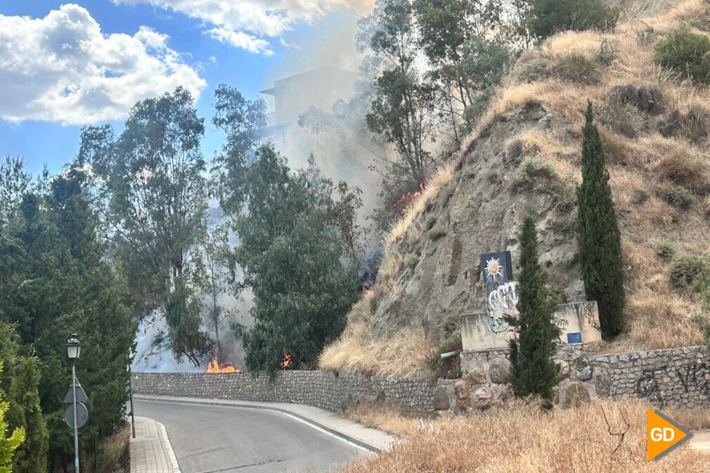 incendio cenes de la vega - foto valeria grandinetti