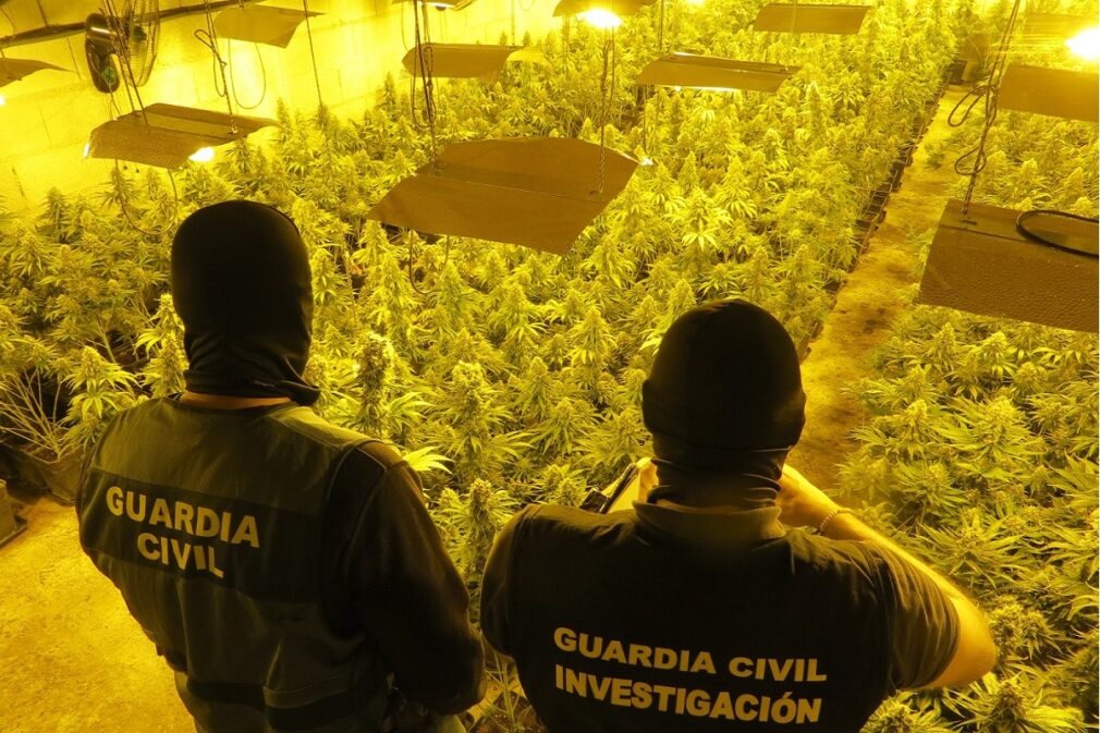 marihuana atarfe y moraleda zafayona