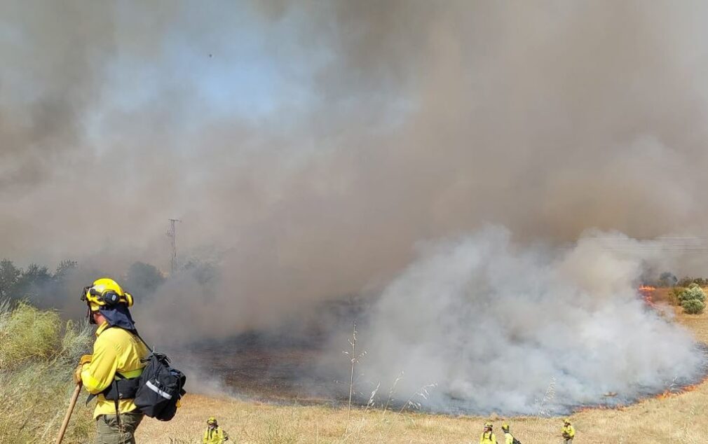 Incendio forestal declarado en Víznar