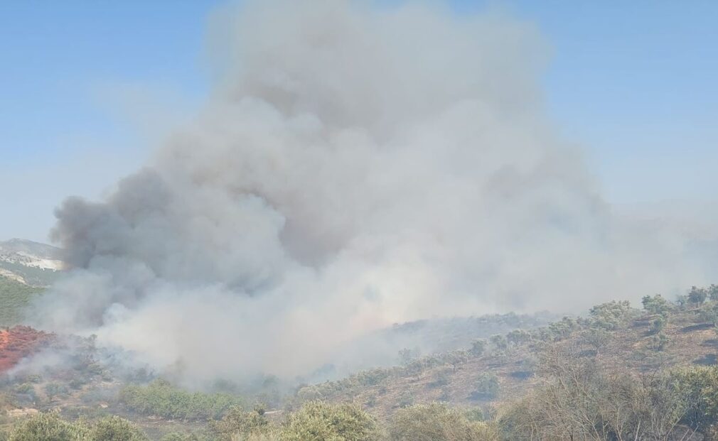 Columna de humo del incendio forestal declarado en Víznar (2)