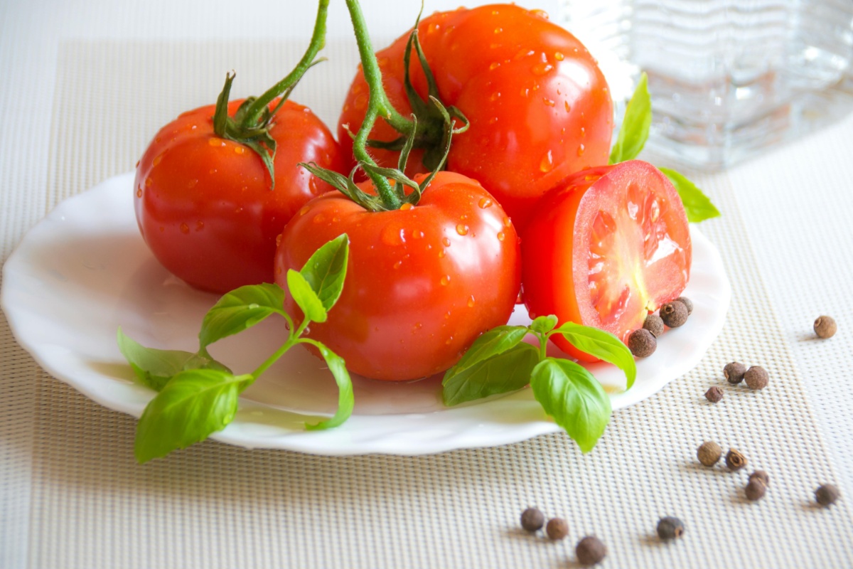 tomate tomates