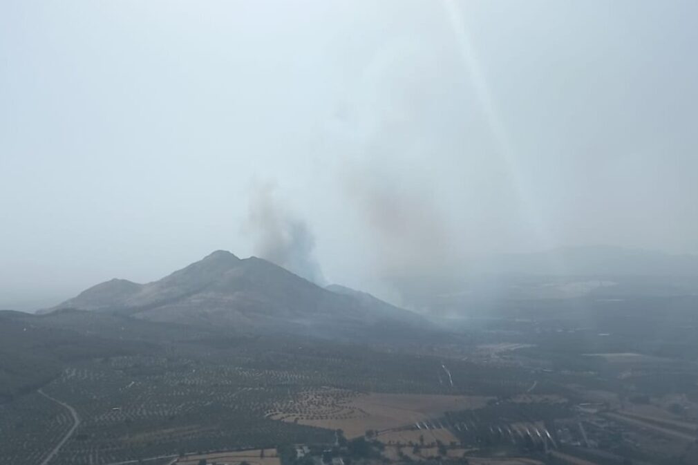 Incendio forestal Pinos Puente