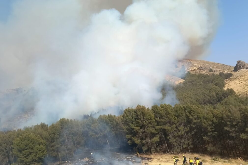 Incendio Pinos Puente