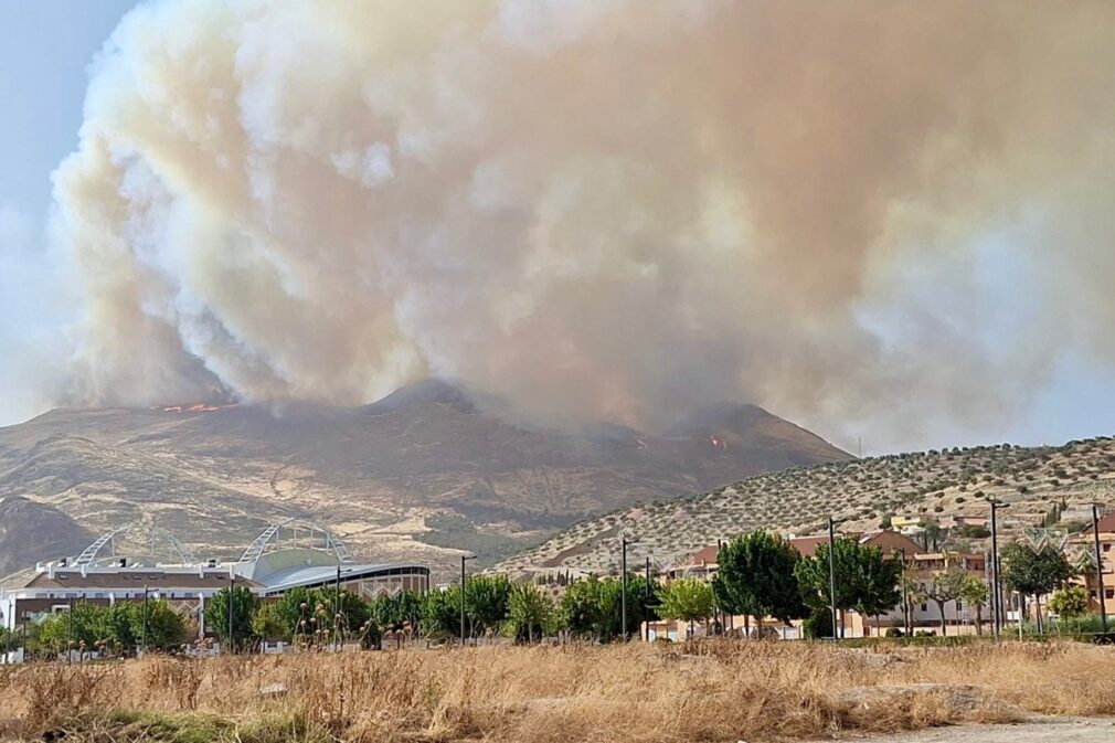 Incendio Pinos Puente