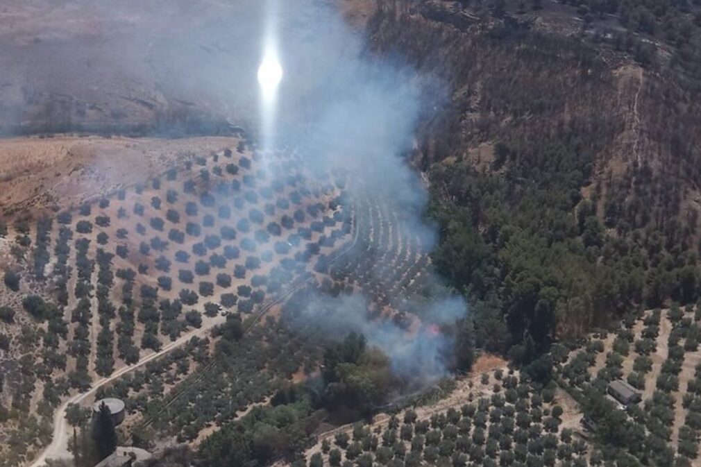 Incendio forestal Pinos Puente