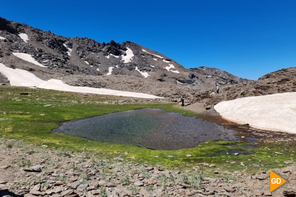 Verano en Sierra Nevada deshielo Laguna de las Yeguas 7