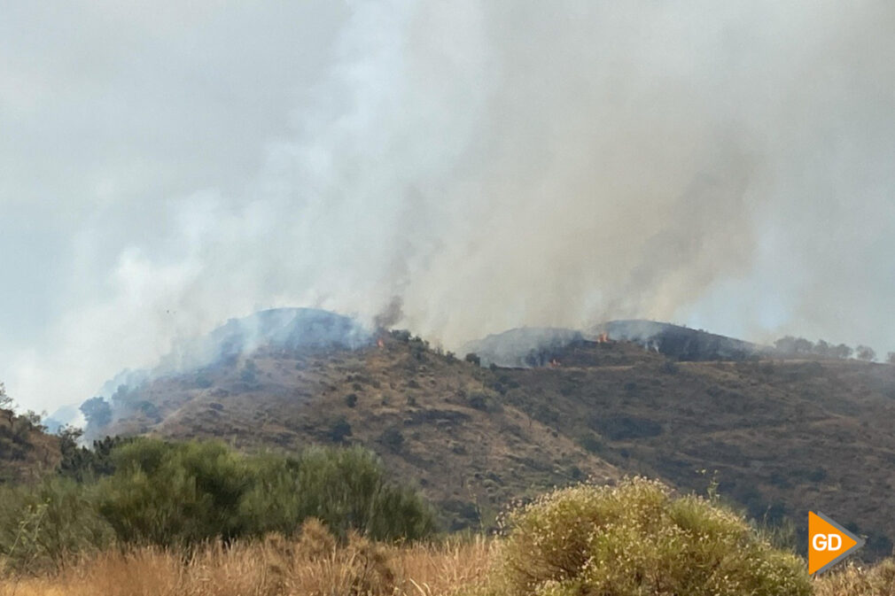 INCENDIO ALMUÑECAR