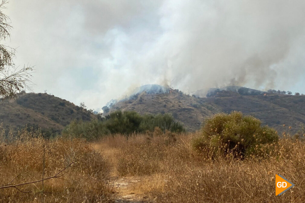 INCENDIO ALMUÑECAR