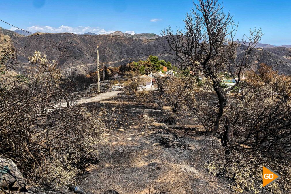 fotografías incendio la herradura-12