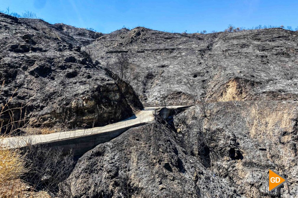 fotografías incendio la herradura-15