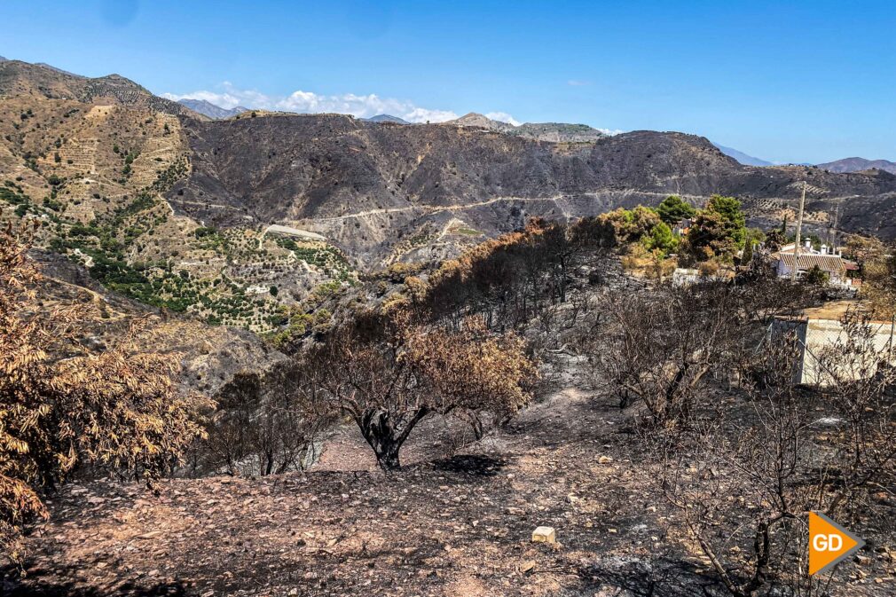 fotografías incendio la herradura-8