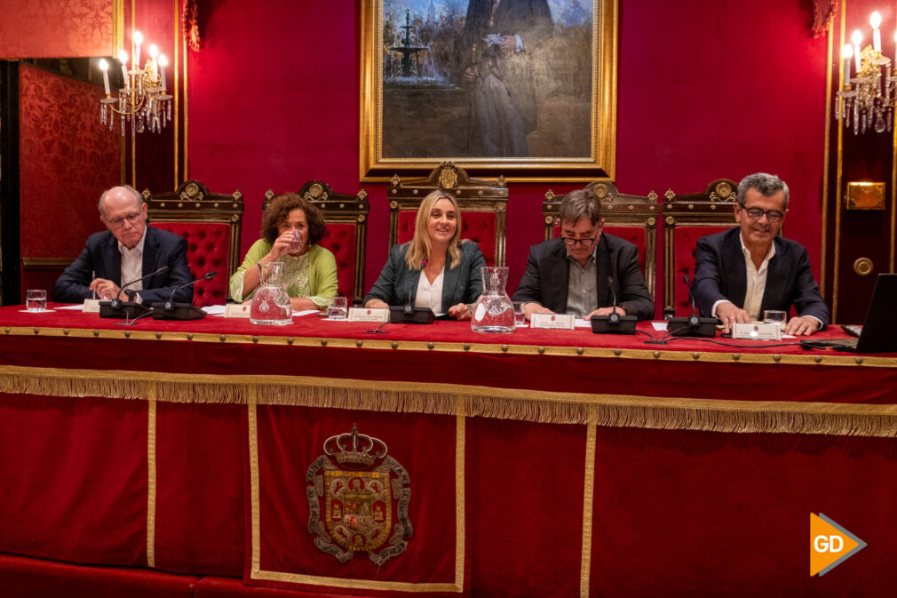 FOTOS CANDIDATURA CIUDAD CULTURAL EUROPEA SALON DE PLENOS AYUNTAMIENTO - MARCOS GOMEZ-8