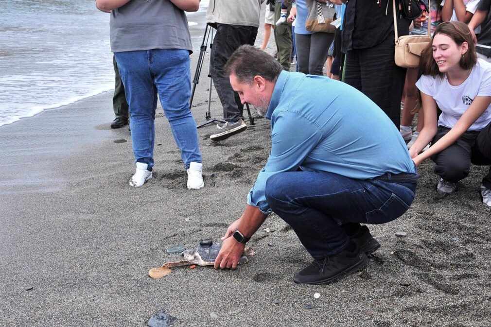 Granada.- AndalucíaVerde.- Liberadas dos tortugas bobas en la playa de La Herradura tras su recuperación en el CEGMA