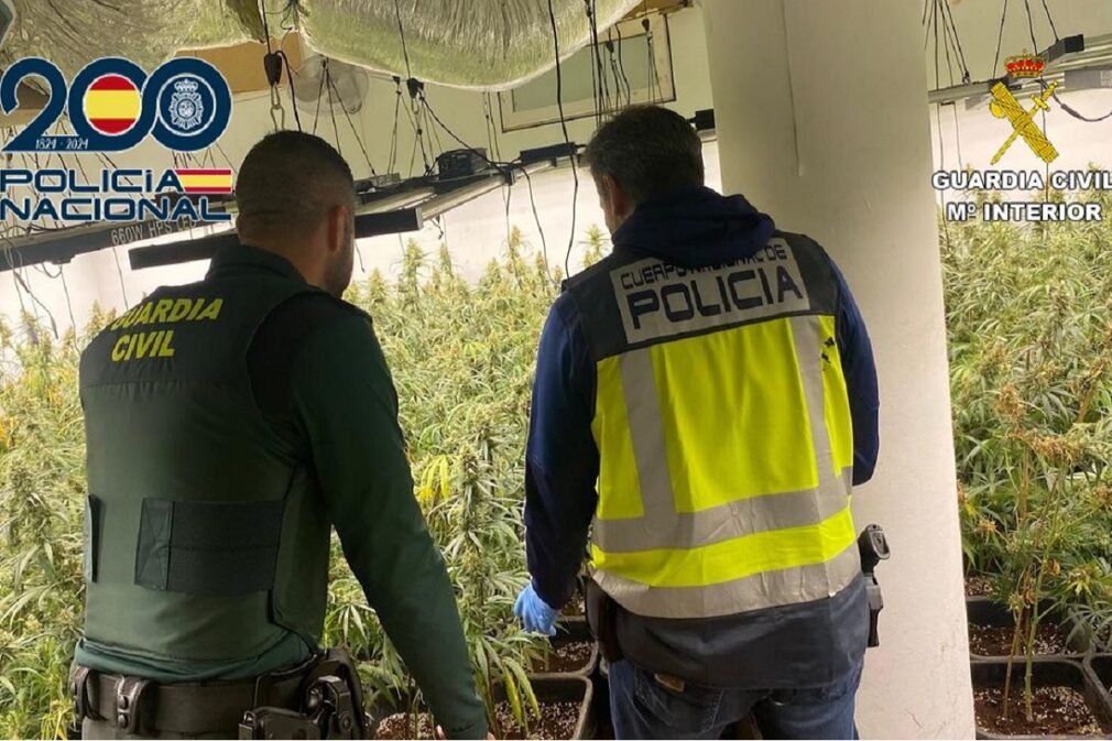 centro produccion marihuana ogijares