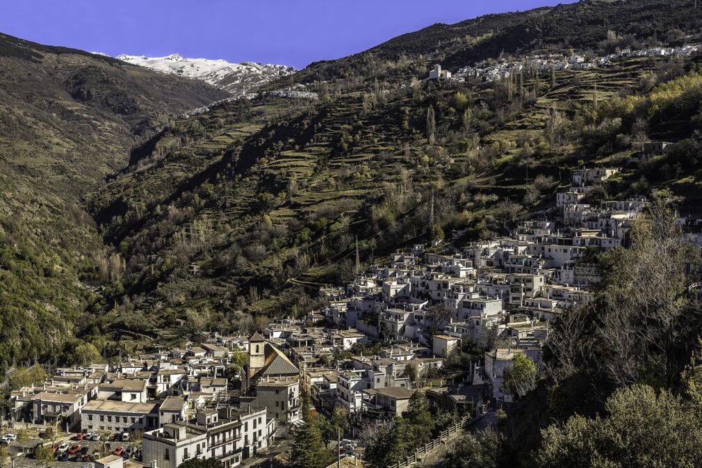 REPORTAJE DE LA ALPUJARRA