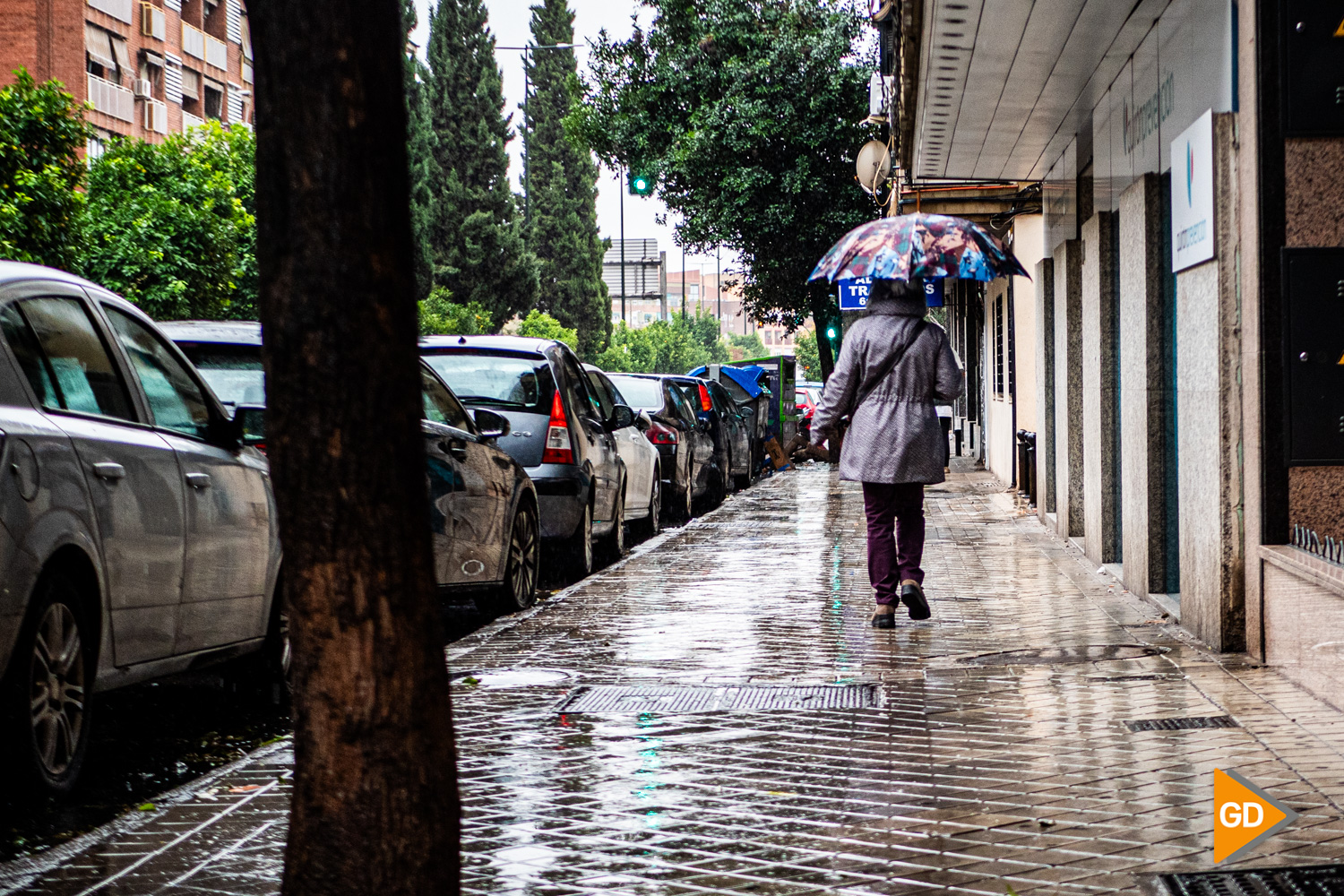 FOTOS LLUVIA - MARCOS GOMEZ