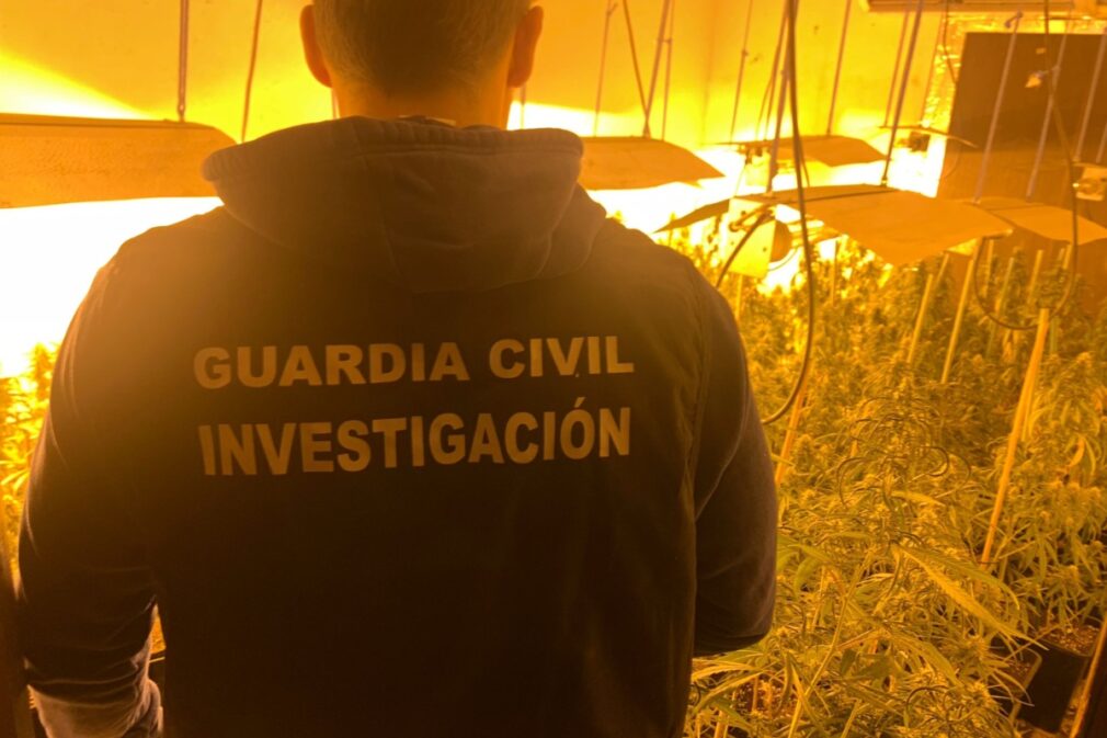 guardia-civil-investigacion-marihuana-pinos-puente