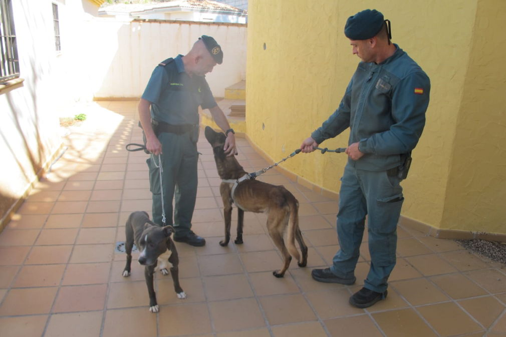 guardia-civil-perro