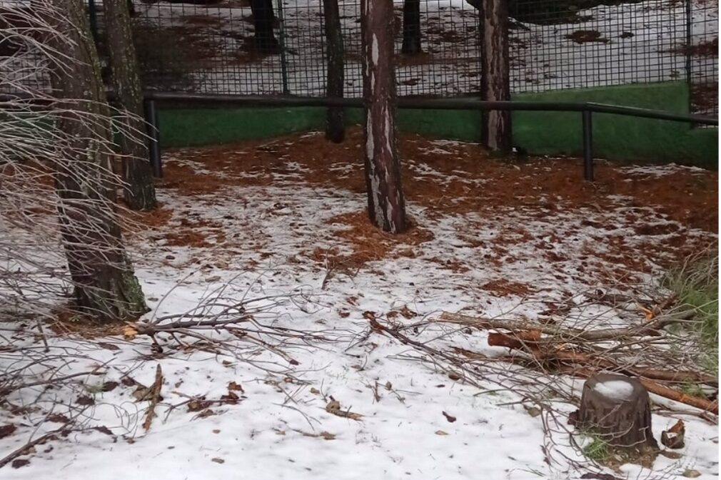 Granada.- La nieve llega a Peña Escrita, en la costa de Granada, casi dos años después