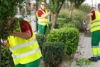 Jardinería Armilla proyecto sostenibilidad