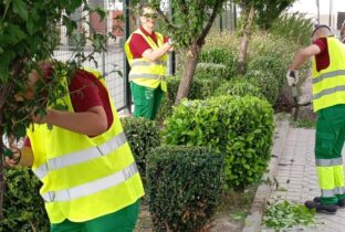 Jardinería Armilla proyecto sostenibilidad