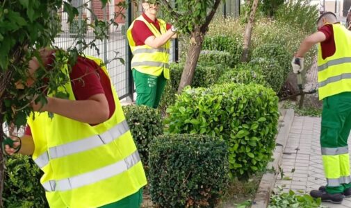 Jardinería Armilla proyecto sostenibilidad