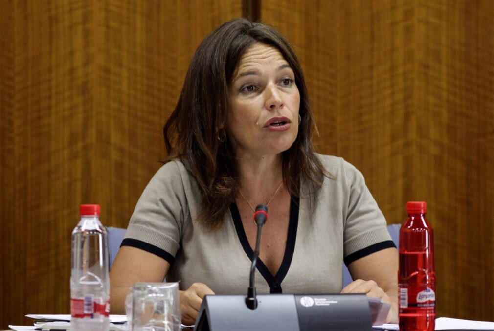 Granada.- La eurodiputada Lina Gálvez pregunta en la Comisión de la UE por el caso del hijo menor de Juana Rivas