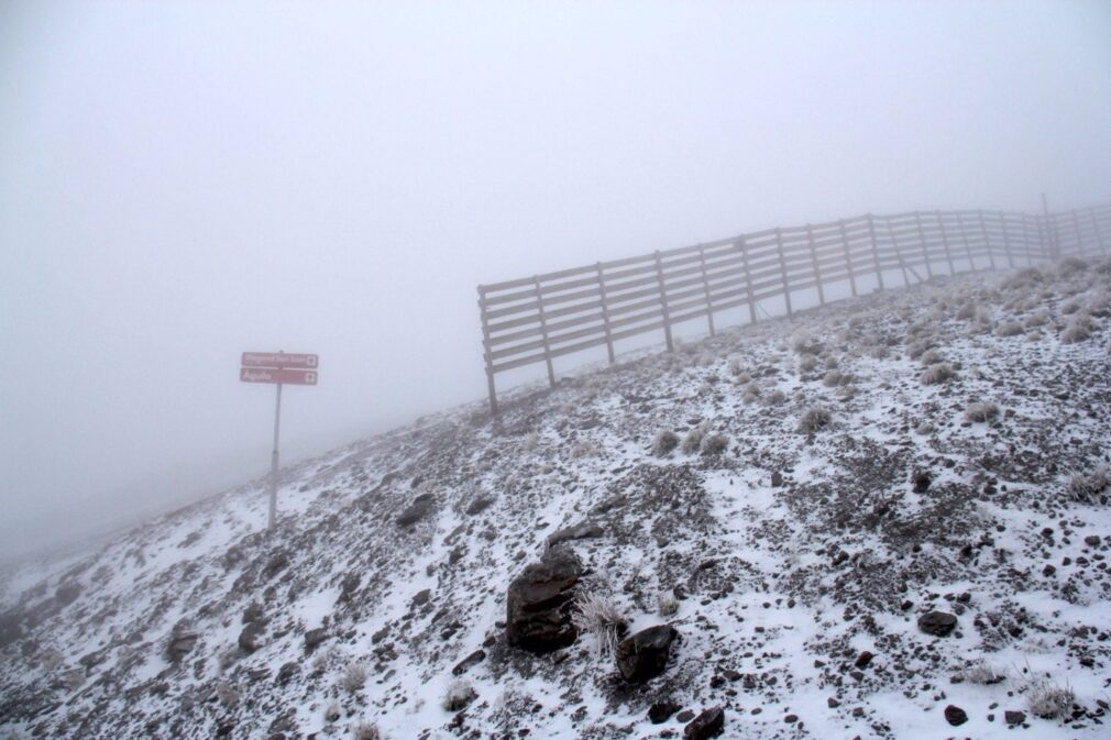 nieve en sierra nevada