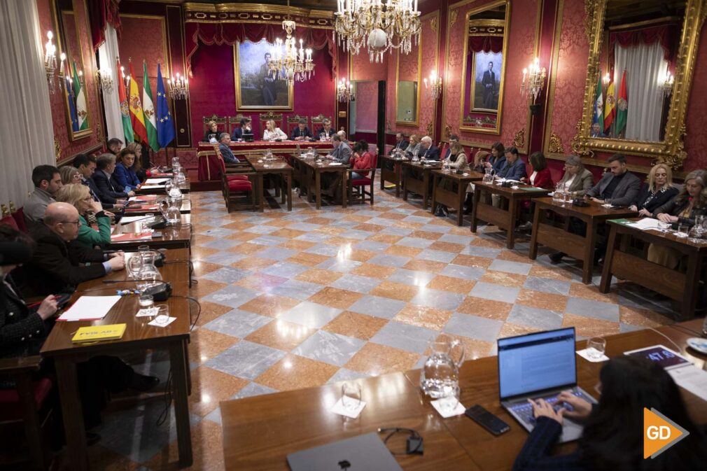 Pleno extraordinario del Ayuntamiento de Granada