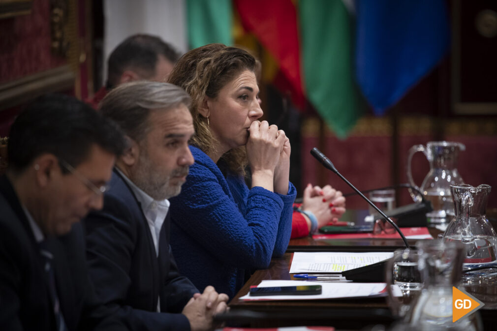 Pleno extraordinario del Ayuntamiento de Granada