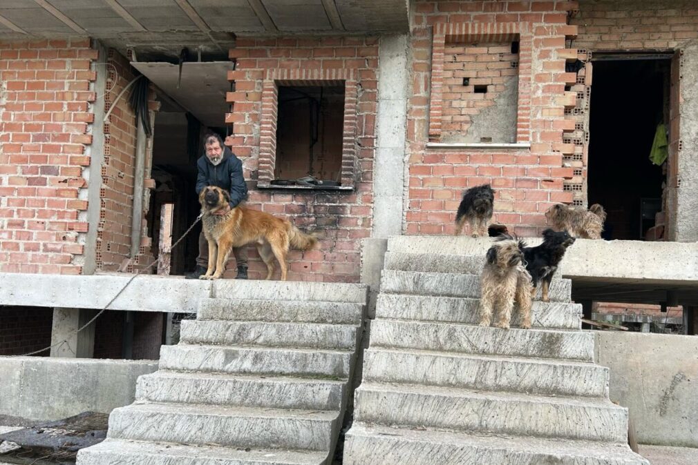 José Francisco Gallardo junto a alguno de sus perros I Foto: Alicia Gonçalves