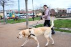 perro parque Armilla